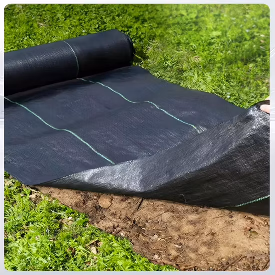 Tunnel Greenhouse Garden Weed Control Ground Cover Agriculture Heavy Duty Membrane Landscape Mulching Film Non Woven Fabric
