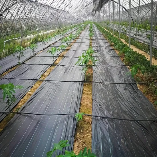 Tunnel Greenhouse Garden Weed Control Ground Cover Agriculture Heavy Duty Membrane Landscape Mulching Film Non Woven Fabric